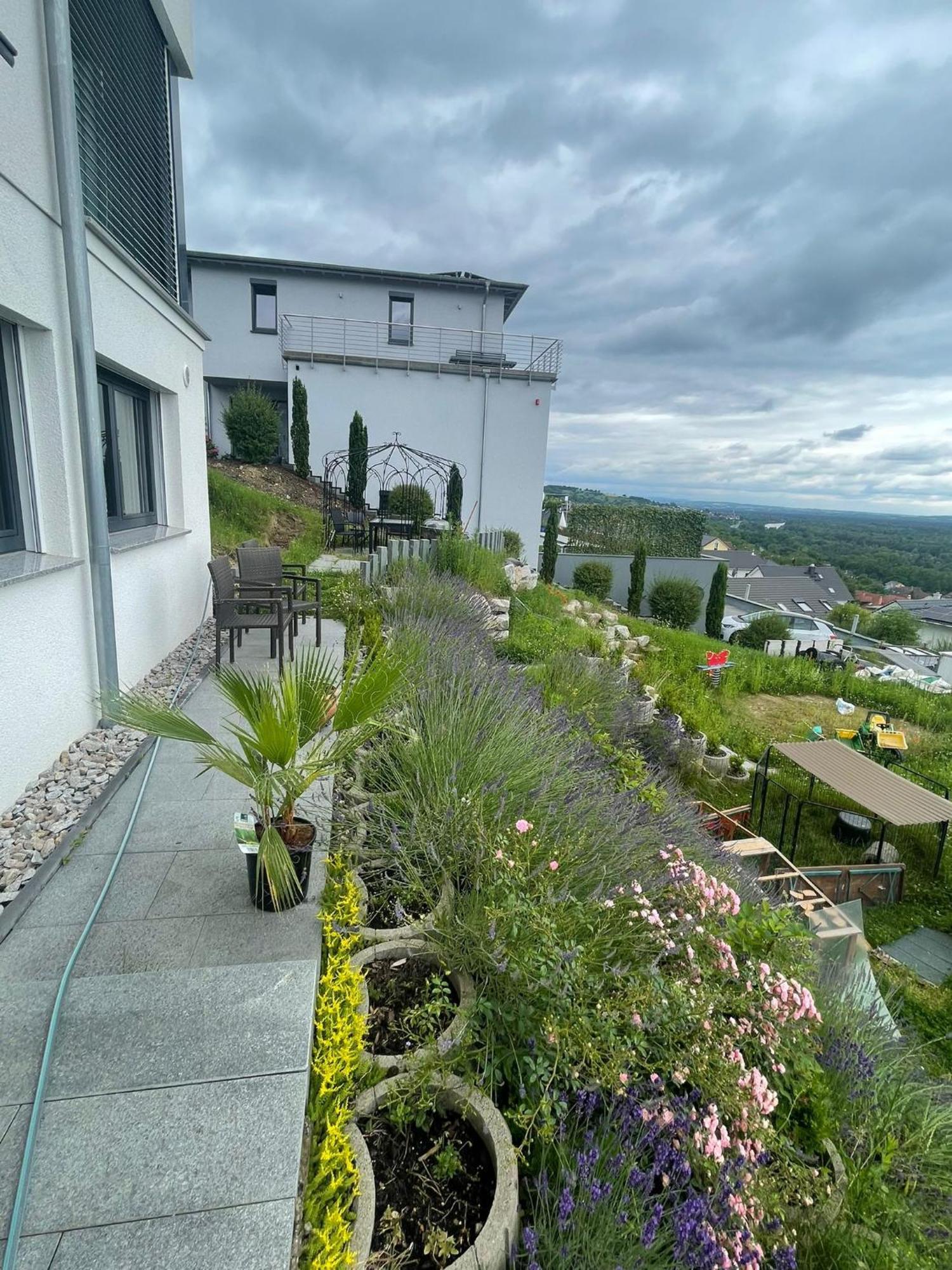 Vogesenblick Daire Bad Bellingen Dış mekan fotoğraf