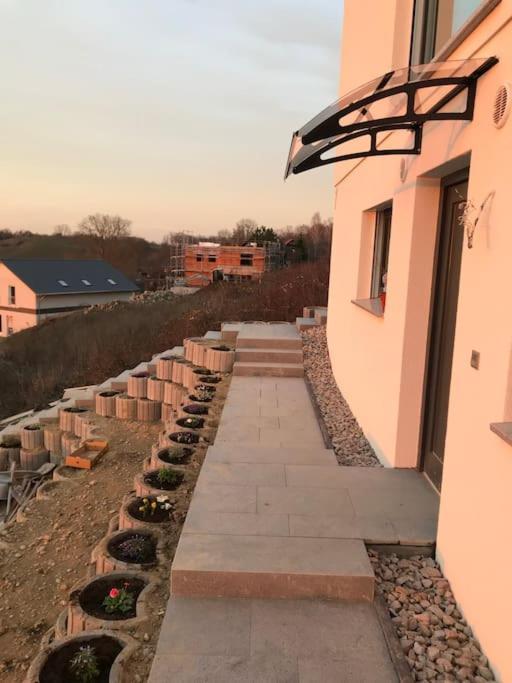 Vogesenblick Daire Bad Bellingen Dış mekan fotoğraf